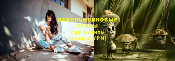 ГАЛЛЮЦИНОГЕННЫЕ ГРИБЫ Алзамай
