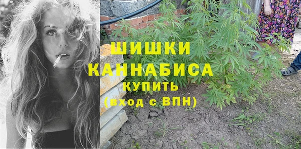 ГАЛЛЮЦИНОГЕННЫЕ ГРИБЫ Алзамай